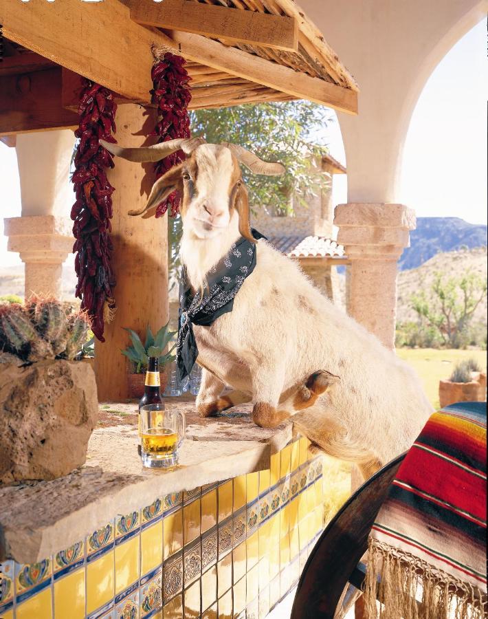 Lajitas Golf Resort Terlingua Dış mekan fotoğraf